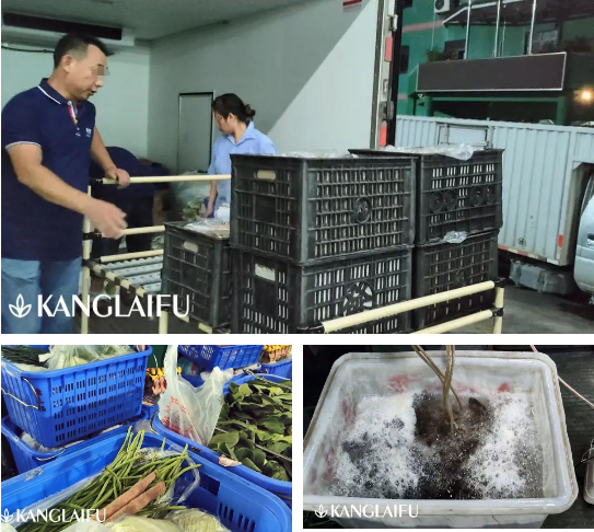 康來福食材配送