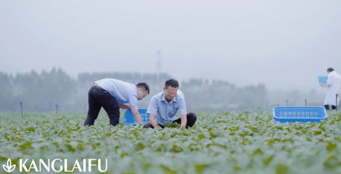 農(nóng)產(chǎn)品基地.png 農(nóng)產(chǎn)品基地.png