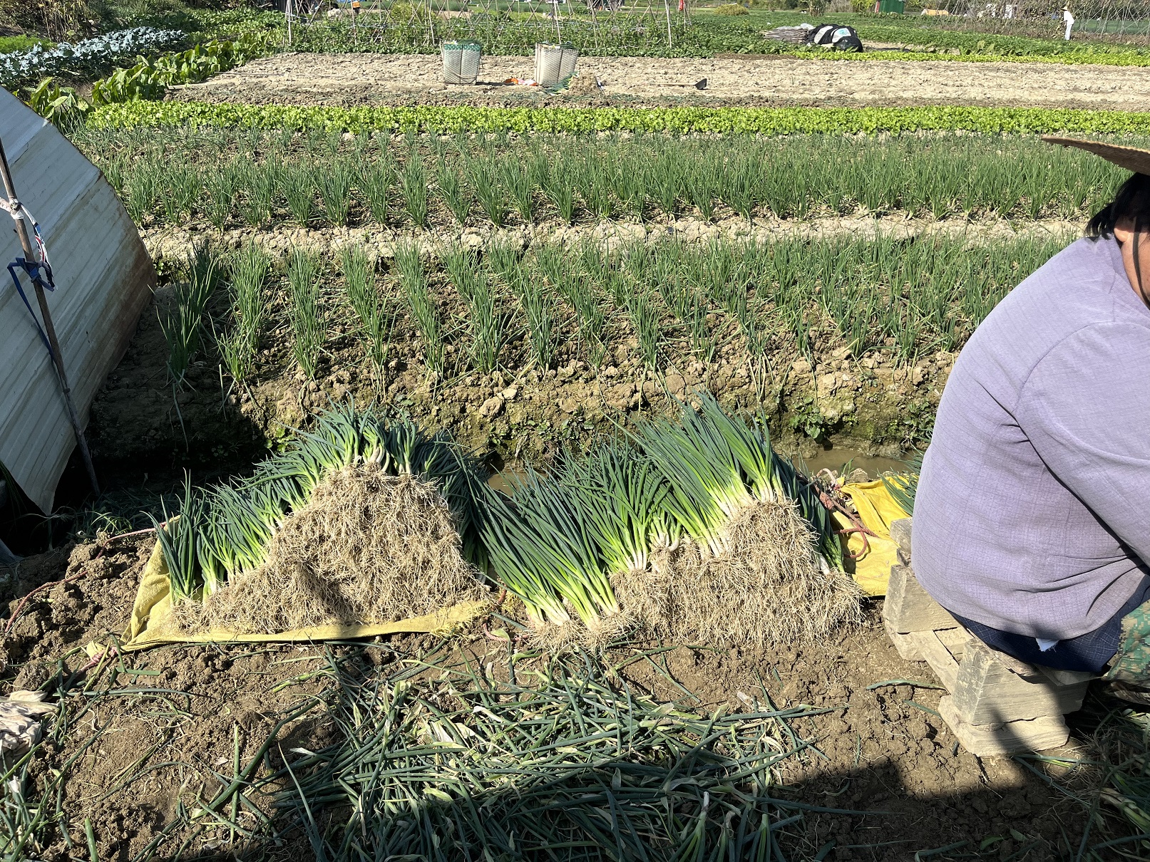 微信圖片_20231128114054 - 副本.jpg 微信圖片_20231128114054 - 副本.jpg