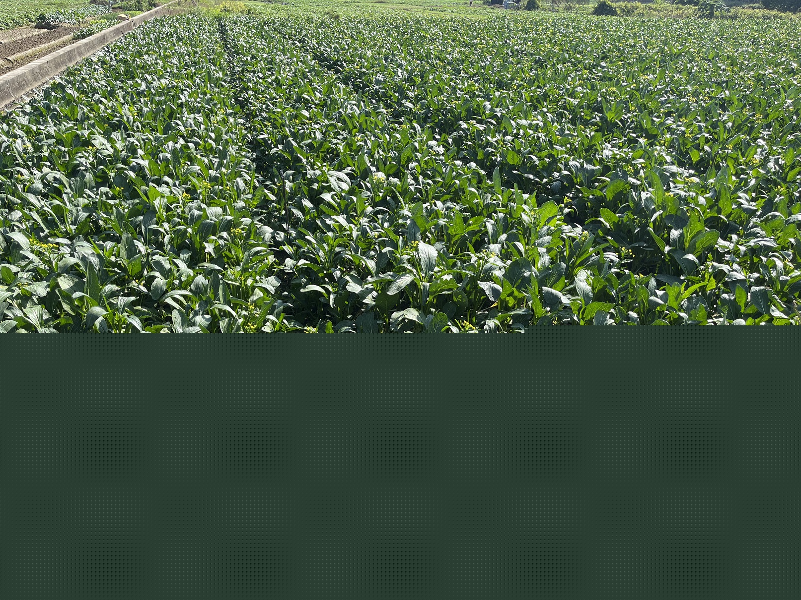 微信圖片_20231128114115 - 副本.jpg 微信圖片_20231128114115 - 副本.jpg