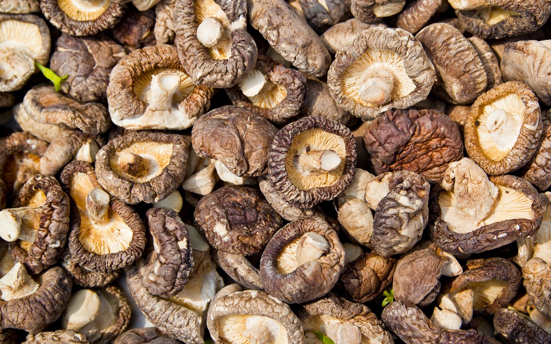 香菇和花菇有什么不同